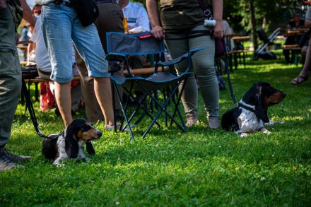 24. Piknik Leśny